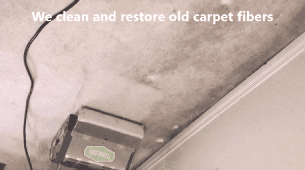 Best Carpet Cleaning Oakville, Mississauga, Brampton