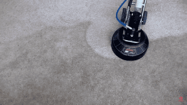 Carpet, Tile & Grout Cleaning Services Oakville, Mississauga